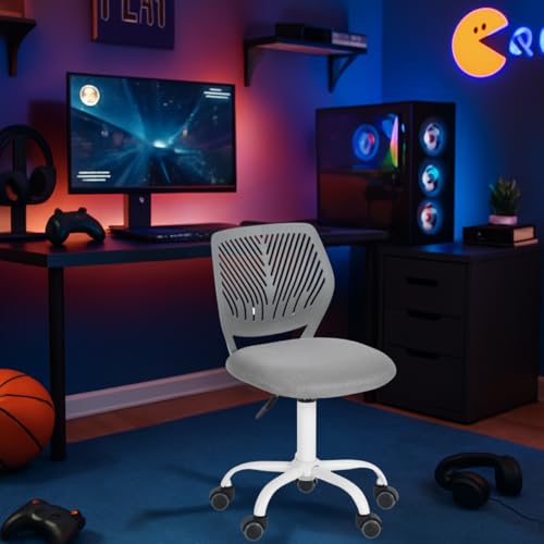 FurnitureR Ergonomic Computer Gaming Chair Home Entertainment Video and Computer Game,E-Sports Leisure Time Play for Teen Boy Girl,Height Adjustable with Lumbar Support,360 Swivel Caster,Grey QS