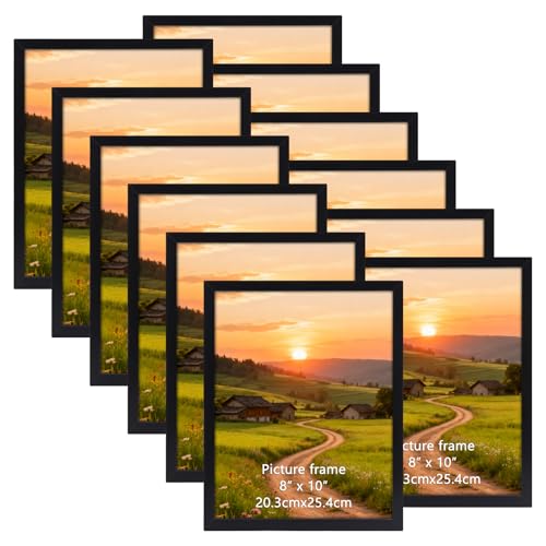 Wtrgas 8x10 Picture Frame Black Set of 12
