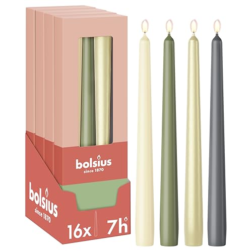 Bolsius Smooth Tapered Candles - Set of 16 - Nature - Decorative Household Candles - Long Burn Time - Unscented - Natural Plant-Based Wax - Palm Oil Free