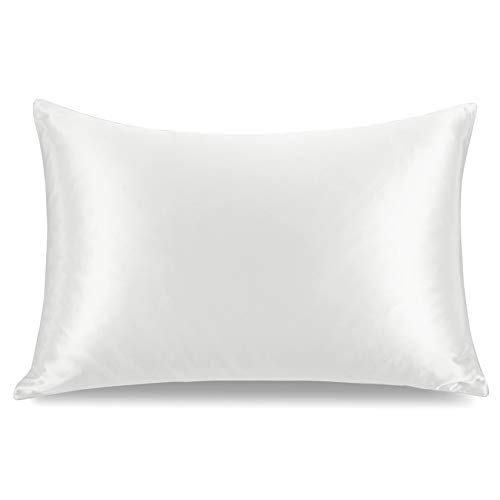 COGNATIO 22 Momme Silk Pillowcase for Hair and Skin, Both Sides 100% Pure Mulberry Silk Pillow Case with Hidden Zipper, Queen 20x30 inches, 1 Pack, Cool White