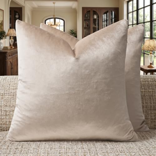 GIGIZAZA Decorative Couch Cushion Covers Set of 2 Pillow Covers Khaki Champange Square 22x22 Inch Velvet Pillow Covers