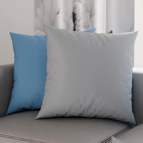PETTI Artigiani Italiani - Pair of Pillow Cases 50 x 30 cm in Microfibre, Pillows for Bedroom Furniture, Sofa, Set of 2 Cushion Covers, Double-Sided Pillowcase Light Blue