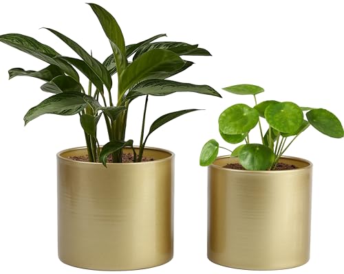 Vixdonos Metal Flower Pots Garden Planters Indoor Round Succulent Containers, Pack 2 Cactus Plant Pots with Drainage Hole (5.9inch+6.7inch, Gold)