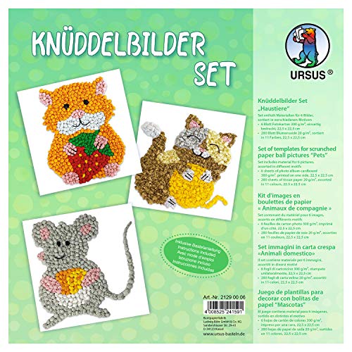 Cuddle Picture Set Pets 6 Sheets Photo Card 300 g/m?? Approx. 22.5 x 22.5 cm Printed on One Side 200 Sheets of Flower Silk Assorted in 11 Different Colours Includes Instructions