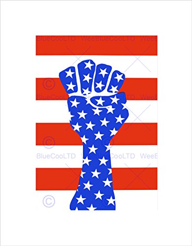 Wee Blue Coo POLITICAL CIVIL RIGHTS AFRICAN AMERICAN FIST FLAG FRAMED ART PRINT B12X11100