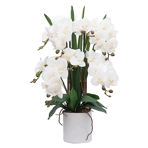 CXGS Artificial Orchid Flower Plants Real Touch Faux Orchids in Ceramic Vase 20.9'' White Phalaenopsis Orchid Fake Flower Arrangement Home Indoor Decor