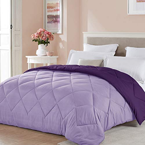 Seward Park King Size Light Purple Comforter Plum Lavender Reversible Lightweight Girls Cooling Bedding Bedspread All Season Summer Blanket