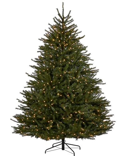 WeRChristmas 7ft Pre-Lit Foxtail Pine Christmas Tree