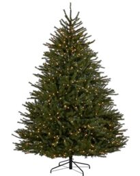 WeRChristmas 7ft Pre-Lit Foxtail Pine Christmas Tree