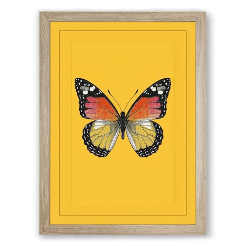 Centered Butterfly Study Botanical Framed Wall Art Print A2 (59.4×42cm) Oak, Wall Decor for Living Room, Bedroom, Office & Home, Ready to Hang, Art Gift