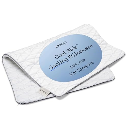 Coop Home Goods - Cooling Pillowcase for Hot Sleepers - Lulltra Cool Technology - Bamboo Derived Viscose Rayon and Jacquard - Smooth Breathable Both Sides Pillow Case Hidden Zipper (Queen)