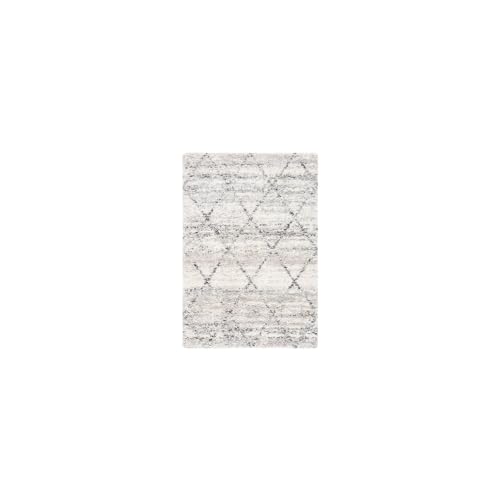 SAFAVIEH Shag Rug for Living Room, Dining Room, Bedroom - Fontana Shag Collection, Short Pile, in Grey and Ivory, 61 X 91 cm