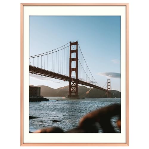 Frametory Metal Picture Frame with Mount Size 12x16 Inch (11x14 Mount) Real Glass Aluminum Photo Frame Collection Rose Gold (1 Pack)