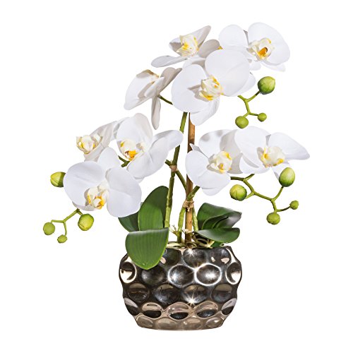 Gasper Phalenopsis 1717300-40 Artificial Plant in Oval Vase Height 30 cm White