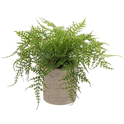 Briful Small Fake Plant Potted Plants Artificial Decor Silk Asparagus Ferns Plant Faux Plants in Pots for Home Living Room Bedroom Desk Bathroom Shelf Farmhouse Decoration