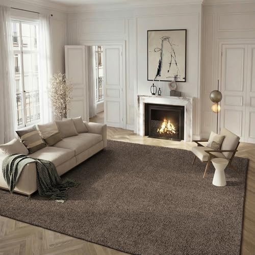Safavieh Shag Rug for Living Room, Dining Room, Bedroom - Athens Shag Collection, High Pile, in Taupe, 183 X 274 cm