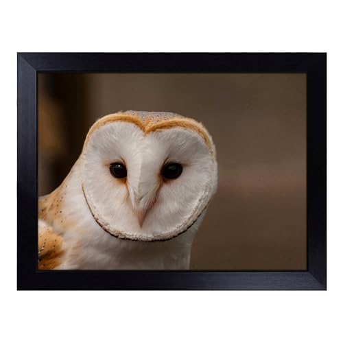 Lap Tray with Bean Bag Cushion, Barn Owl 2 - Handmade in the UK, Raised Wooden Edge, Padded Cushion, Heat-Resistant Wipe-Clean Surface, for Meals, Laptops and Crafts