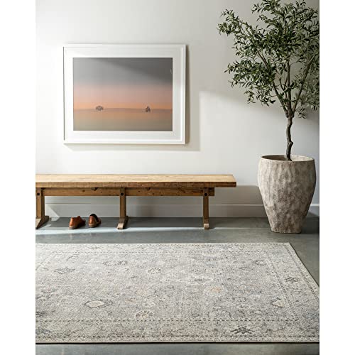 Livabliss x Becki Owens Davina Vintage Rug - Area Rugs for Living Room 160x213 cm, Bedroom - Scandi Neutral Rugs, Traditional Patterned Boho Style, Natural Easy Care Pile - Large Rug, Grey, Brown
