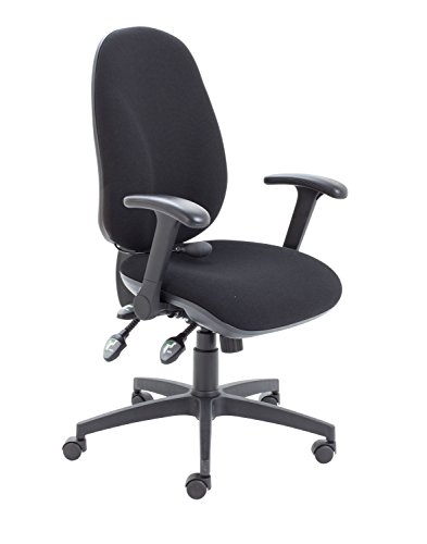 Office Hippo Physio Approved Desk Chair, Ergonomic Home & Office Chair With Adjustable Seat, Back & Lumbar Pump For Comfort & Support, Computer Chair With Flip Up Arms - Black