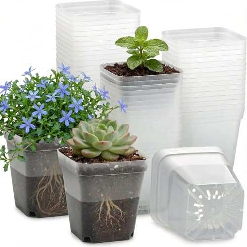 60 Pcs Clear Square Nursery Pots 4 Inch, Thick Seedling Pots with Drainage Holes High Transparency, Reusable Nursery Plant Pot Containers for Seedlings Microgreens, Flowers, Indoor Gardening