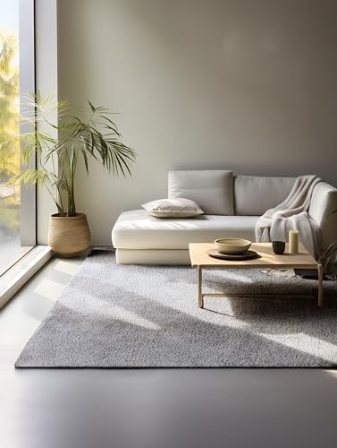 freundin Home Collection Shaggy Rug - Fluffy High Pile Living Room Rug - Plain Soft Easy Care Long Pile for Living Room, Dining Room, Bedroom, Children's Room - Light Grey, 160 x 235 cm
