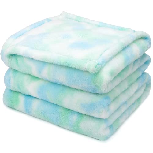 Fleece Blanket Green Throw Blanket - 300GSM Throw Blanket for Couch Soft Fuzzy Plush Cozy Blankets, Spring Home Decor