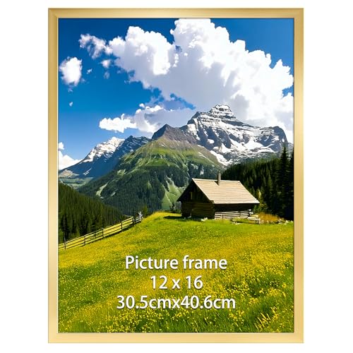 Ditwis 30x40 Picture Frame Gold, 16x12 inch Poster Frame for Horizontal or Vertical Wall Display in Living Room, Office, Gallery