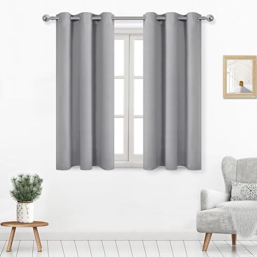 DWCN Silver Grey Curtains for Living Room, Room Darkening Thermal Curtains 54 Inches Long, Blackout Curtains for Bedroom - W38 x L54 Inch Length, 1 Pair
