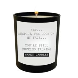Wanky Candles Funny Rude Candle Despite the Look on Your face WCBJ06