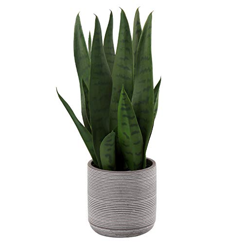 "Briful Fake Snake Plant 16"" Faux Potted Plant Artificial Snake Plant with Cement Pot Sansevieria Plant Perfect for House Modern Living Room Office Housewarming Gift Indoor Decor"