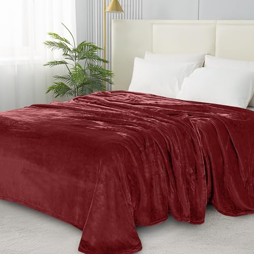 Elegant Comfort Luxury Velvety Softness Fuzzy Plush Micro-Velour Ultra-Soft Blanket, Full/Queen, Burgundy