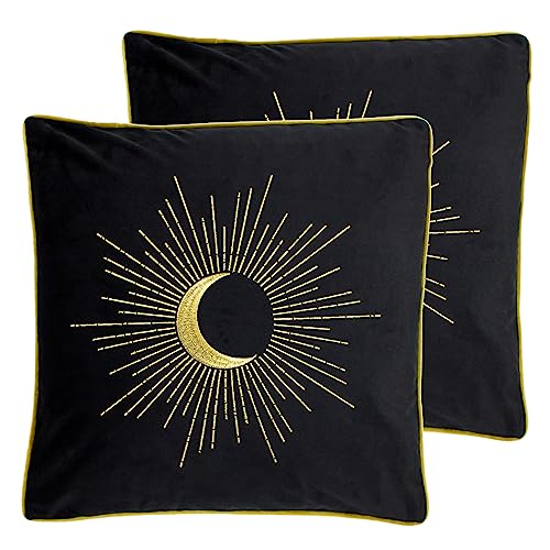 Furn. Astrid Feather Filled Cushion - Twin Pack,Black,50 x 50cm