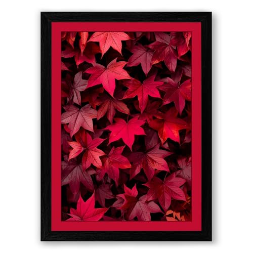 Crimson Canopy Botanical Framed Wall Art Print A3 (42×29.7cm) Black, Wall Decor for Living Room, Bedroom, Office & Home, Ready to Hang, Art Gift