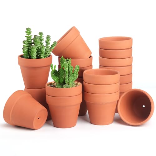 FAMILY 20 Pieces Plant Nursery pots of Small Mini Flower pots3 inch Clay Flower pots, Cactus Flower pots, Succulent Nursery Flower pots with Drainage Holes, (Earthenware)