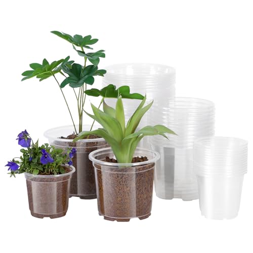 JERIA Clear Nursery Pots, 4/5/6 Inch
