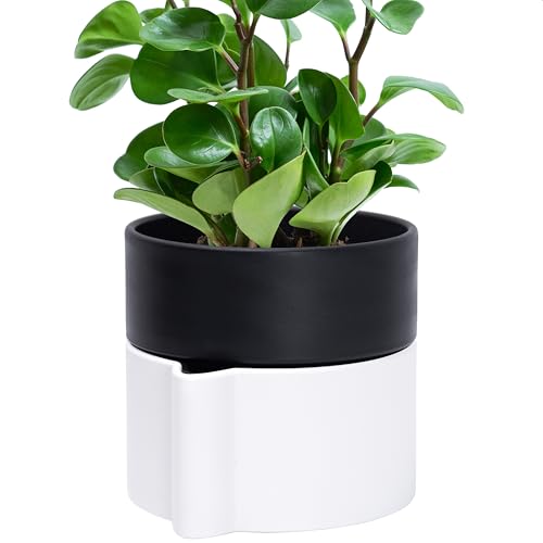6.5 Inch Self-Watering Planter Pot with Terracotta Insert, Deep Water Reservoir, and Ceramic-Alike BPA-Free Plastic Planter Pot for Plant, Modern Planter for Houseplants, White/Black, 53-B-S-4
