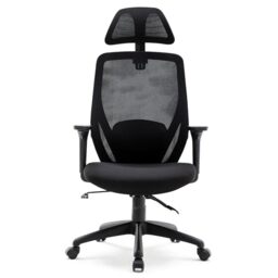 HNNHOME Recline Ergonomic Office Chair with Back Support and Headrest, Tilt Function Position Lock, Home Office Computer Desk Chair with Lumbar Support, Breathable Mesh Executive Office Chair