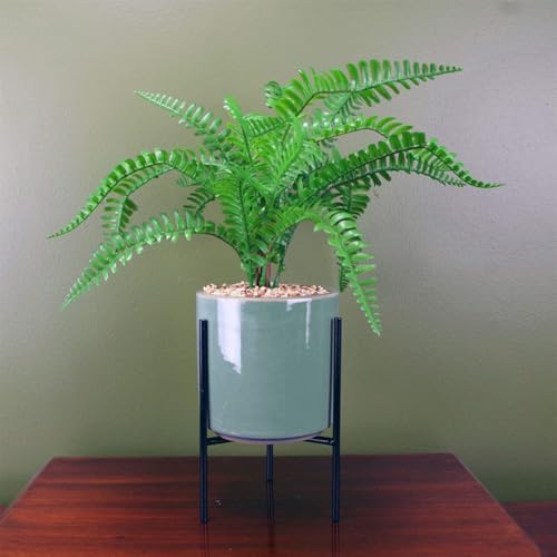 Botanik Premium Artificial Fern Grass