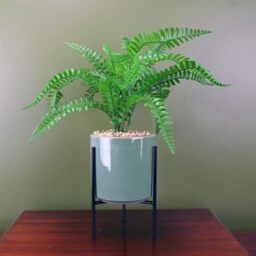 Botanik Premium Artificial Fern Grass