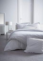 TODAY 017125 Premium Pillowcase Cotton 75 x 75 cm, Cotton, Chantilly cream, 75x75 cm