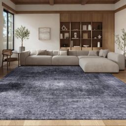 SAFAVIEH Traditional Rug Ideal for High Traffic Areas - Machine Washable and Non Slip - Tucson Collection, Short Pile, in Black and Grey, 183 X 274 cm
