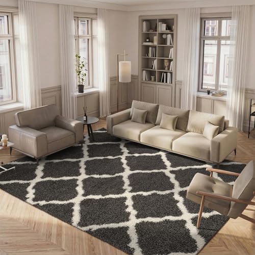 Safavieh Shaggy Indoor Woven Rectangle Area Rug, Dallas Shag Collection, SGD257, in Dark Grey / Ivory, 183 X 274 cm for Living Room, Bedroom or Any Indoor Space