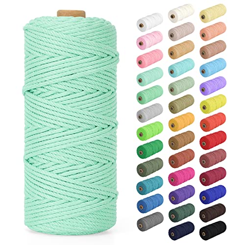 Macrame Cord 2mm x 220Yards (656Feet), Natural Cotton Macrame Rope - 2 Strands Twisted Macrame Cotton Cord for Wall Hanging, Plant Hangers, Crafts, Gift Wrapping and Wedding Decorations, Pea Green