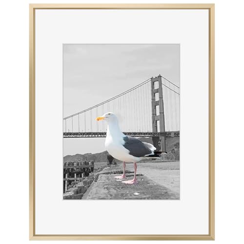Frametory, 16x20 Picture Frame Matted to 11x14 Aluminum Metal Photo Frames Real Glass Vertical or Horizontal Wall Mounting (Gold, 1-Pack)