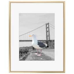 Frametory, 16x20 Picture Frame Matted to 11x14 Aluminum Metal Photo Frames Real Glass Vertical or Horizontal Wall Mounting (Gold, 1-Pack)