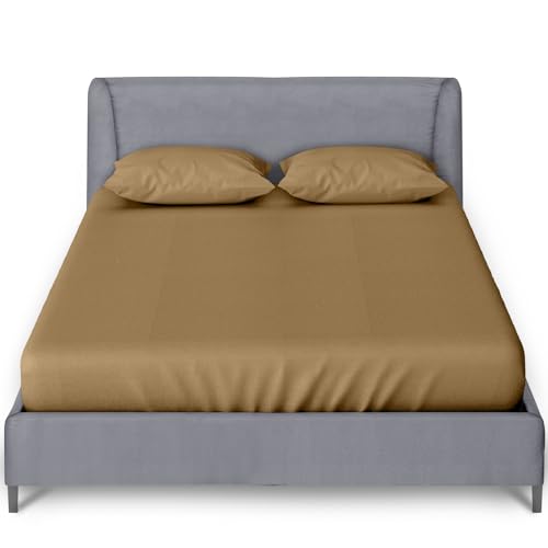 GC GAVENO CAVAILIA Percale Fitted Sheet - Ultra Soft Plain Dyed Bedding Bed Sheet - Super Soft Non Iron Polycotton Single Bed Sheet - Mocha