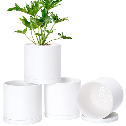 D'vine Dev 4-Pack White Plastic Planters with Saucers, 6 in, 74-Z-J-2 - Lightweight Durable Build, Matte Finish, Cylindrical Shape, Efficient Drainage, Detachable Saucer, Minimalist Modern Style
