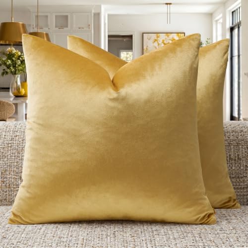 GIGIZAZA Decor Throw Couch Pillow Covers,Set of 2 Sofa Cushion Yellow Pillow Covers,Velvet Pillow Cases 24 x 24inch