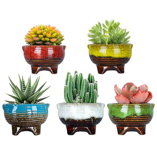 ARTKETTY Ceramic Succulent Plant Pots Small Cactus Pots, 10CM Glazed Flower Plant Container with Drainage Home Garden Decoration Pack of 5