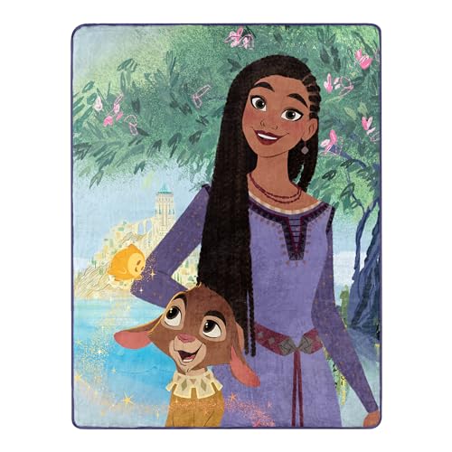 Northwest Disney Wish Silk Touch Throw Blanket, 46 x 60 inches, Friendship